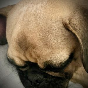 Meet your Posher, Evil